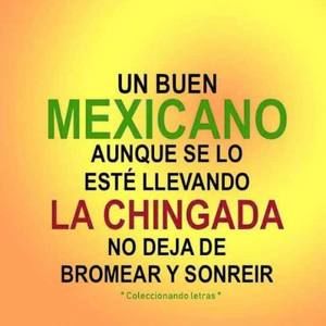 Meet your Posher, Cris